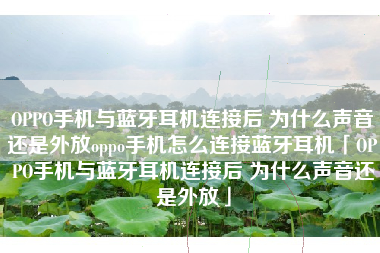 OPPO手机与蓝牙耳机连接后 为什么声音还是外放oppo手机怎么连接蓝牙耳机「OPPO手机与蓝牙耳机连接后 为什么声音还是外放」
