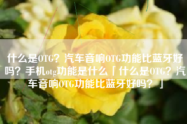 什么是OTG？汽车音响OTG功能比蓝牙好吗？手机otg功能是什么「什么是OTG？汽车音响OTG功能比蓝牙好吗？」
