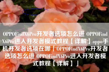 OPPOFindX6Pro开发者选项怎么进 OPPOFindX6Pro进入开发者模式教程【详解】oppo手机开发者选项在哪「OPPOFindX6Pro开发者选项怎么进 OPPOFindX6Pro进入开发者模式教程【详解】」