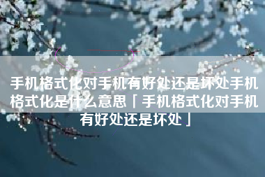 手机格式化对手机有好处还是坏处手机格式化是什么意思「手机格式化对手机有好处还是坏处」