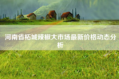 河南省柘城辣椒大市场最新价格动态分析