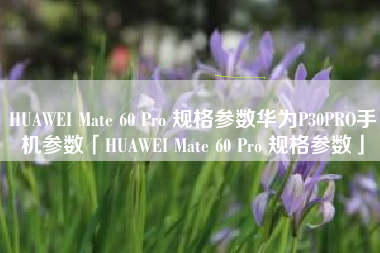 HUAWEI Mate 60 Pro 规格参数华为P30PRO手机参数「HUAWEI Mate 60 Pro 规格参数」