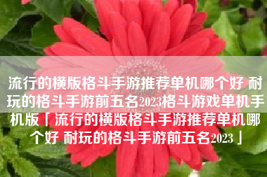 流行的横版格斗手游推荐单机哪个好 耐玩的格斗手游前五名2023格斗游戏单机手机版「流行的横版格斗手游推荐单机哪个好 耐玩的格斗手游前五名2023」