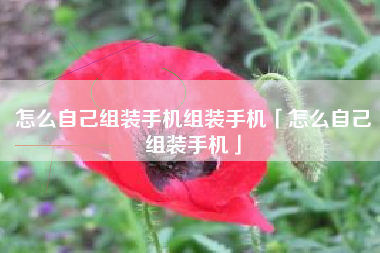怎么自己组装手机组装手机「怎么自己组装手机」