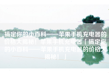 搞定你的小百科——苹果手机充电器的价格大揭秘！苹果手机充电器「搞定你的小百科——苹果手机充电器的价格大揭秘！」