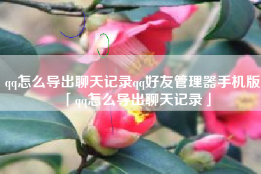 qq怎么导出聊天记录qq好友管理器手机版「qq怎么导出聊天记录」