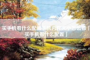 买手机看什么配置手机内存大小怎么看「买手机看什么配置」