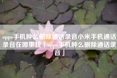 oppo手机肿么删除通话录音小米手机通话录音在哪里找「oppo手机肿么删除通话录音」 oppo手机肿么删除通话录音小米手机通话录音在哪里找「oppo手机肿么删除通话录音」
