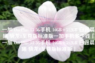 一加 OnePlus 13 5G手机 16GB+512GB 白露晨曦 骁龙8至尊版标准版一加手机多少钱「一加 OnePlus 13 5G手机 16GB+512GB 白露晨曦 骁龙8至尊版标准版」