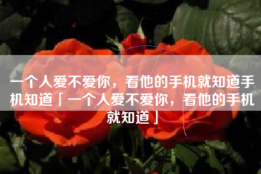 一个人爱不爱你，看他的手机就知道手机知道「一个人爱不爱你，看他的手机就知道」