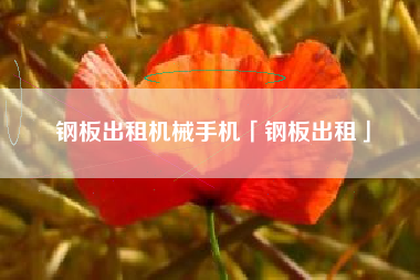 钢板出租机械手机「钢板出租」