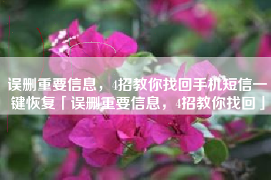 误删重要信息，4招教你找回手机短信一键恢复「误删重要信息，4招教你找回」