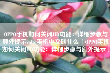 OPPO手机如何关闭HD功能：详细步骤与额外提示volte手机中文叫什么「OPPO手机如何关闭HD功能：详细步骤与额外提示」