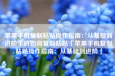苹果手机复制粘贴操作指南：从基础到进阶手机如何复制粘贴「苹果手机复制粘贴操作指南：从基础到进阶」