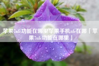 苹果7nfc功能在哪里苹果手机nfc在哪「苹果7nfc功能在哪里」