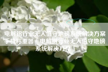电解铝行业无人值守地磅系统解决方案手机称重器「电解铝行业无人值守地磅系统解决方案」