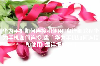 华为手机如何连接和使用U盘详细教程华为手机如何连接u盘「华为手机如何连接和使用U盘详细教程」