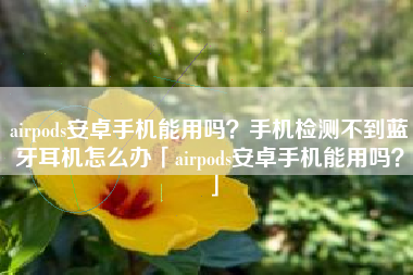 airpods安卓手机能用吗？手机检测不到蓝牙耳机怎么办「airpods安卓手机能用吗？」