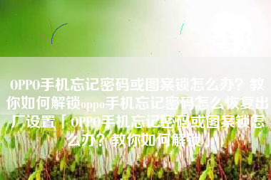 OPPO手机忘记密码或图案锁怎么办？教你如何解锁oppo手机忘记密码怎么恢复出厂设置「OPPO手机忘记密码或图案锁怎么办？教你如何解锁」