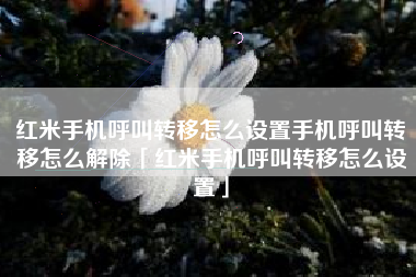 红米手机呼叫转移怎么设置手机呼叫转移怎么解除「红米手机呼叫转移怎么设置」