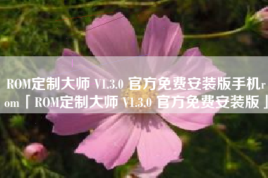 ROM定制大师 V1.3.0 官方免费安装版手机rom「ROM定制大师 V1.3.0 官方免费安装版」