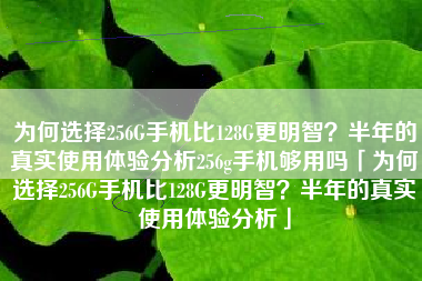 为何选择256G手机比128G更明智？半年的真实使用体验分析256g手机够用吗「为何选择256G手机比128G更明智？半年的真实使用体验分析」