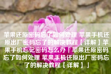 苹果还原密码忘了如何处理 苹果手机还原出厂密码忘了的解决教程【详解】苹果手机忘记密码怎么办「苹果还原密码忘了如何处理 苹果手机还原出厂密码忘了的解决教程【详解】」