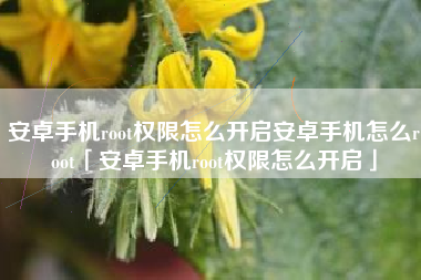 安卓手机root权限怎么开启安卓手机怎么root「安卓手机root权限怎么开启」