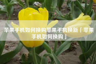 苹果手机如何换购苹果手机换新「苹果手机如何换购」