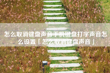 怎么取消键盘声音手机键盘打字声音怎么设置「怎么取消键盘声音」