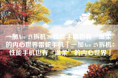 一加Ace 2V拆机：性能手机也有“温柔”的内心世界雷蛇手机「一加Ace 2V拆机：性能手机也有“温柔”的内心世界」