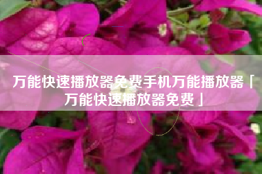 万能快速播放器免费手机万能播放器「万能快速播放器免费」