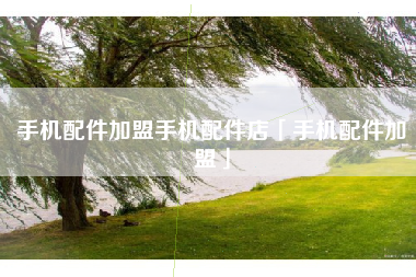 手机配件加盟手机配件店「手机配件加盟」