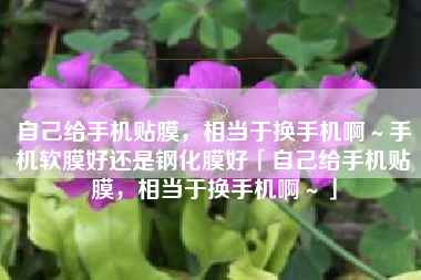 自己给手机贴膜，相当于换手机啊～手机软膜好还是钢化膜好「自己给手机贴膜，相当于换手机啊～」