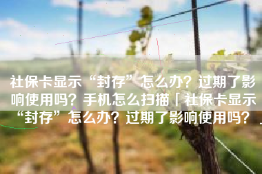 社保卡显示“封存”怎么办？过期了影响使用吗？手机怎么扫描「社保卡显示“封存”怎么办？过期了影响使用吗？」