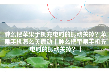 肿么把苹果手机充电时的振动关掉？苹果手机怎么关震动「肿么把苹果手机充电时的振动关掉？」