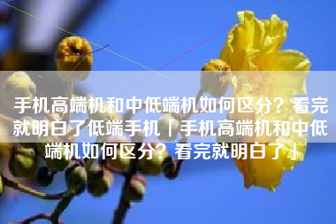手机高端机和中低端机如何区分？看完就明白了低端手机「手机高端机和中低端机如何区分？看完就明白了」