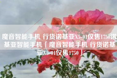 魔音智能手机 行货诺基亚X5-01仅售1750诺基亚智能手机「魔音智能手机 行货诺基亚X5-01仅售1750」