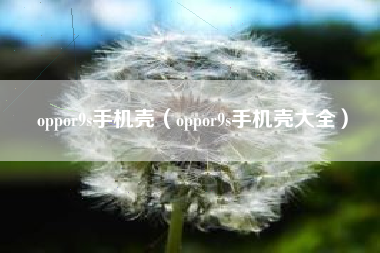 oppor9s手机壳（oppor9s手机壳大全）