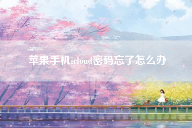 苹果手机icloud密码忘了怎么办