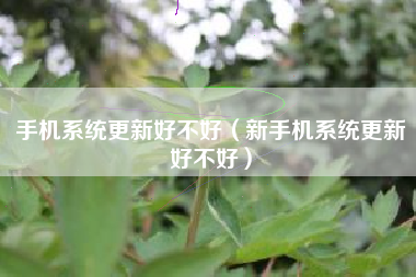 手机系统更新好不好（新手机系统更新好不好）