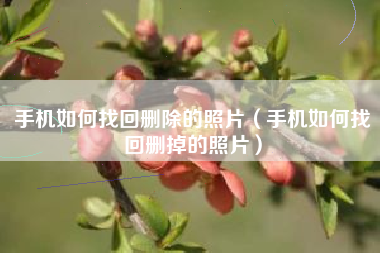 手机如何找回删除的照片（手机如何找回删掉的照片）