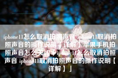 iphone11怎么取消拍照声音 iphone11取消拍照声音的操作说明【详解】苹果手机拍照声音怎么关闭「iphone11怎么取消拍照声音 iphone11取消拍照声音的操作说明【详解】」