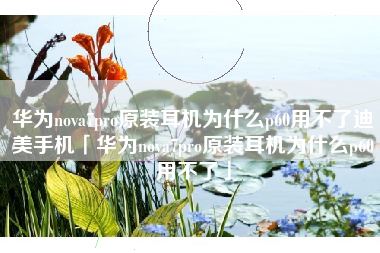华为nova7pro原装耳机为什么p60用不了迪美手机「华为nova7pro原装耳机为什么p60用不了」 华为nova7pro原装耳机为什么p60用不了迪美手机「华为nova7pro原装耳机为什么p60用不了」