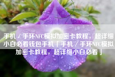 手机／手环NFC模拟加密卡教程，超详细小白必看钱包手机「手机／手环NFC模拟加密卡教程，超详细小白必看」