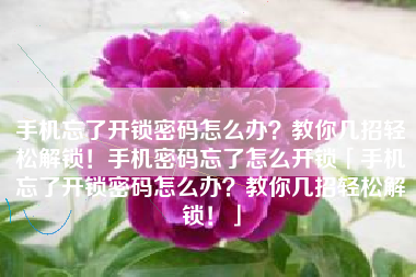 手机忘了开锁密码怎么办？教你几招轻松解锁！手机密码忘了怎么开锁「手机忘了开锁密码怎么办？教你几招轻松解锁！」