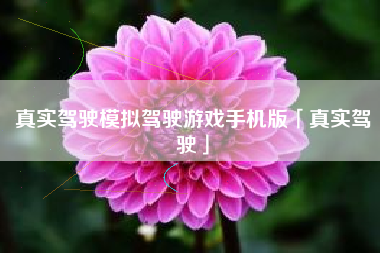 真实驾驶模拟驾驶游戏手机版「真实驾驶」
