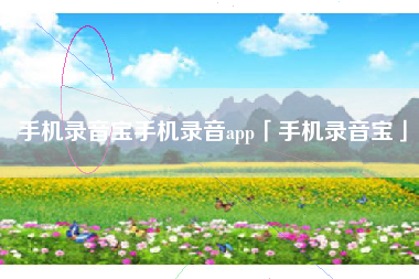 手机录音宝手机录音app「手机录音宝」