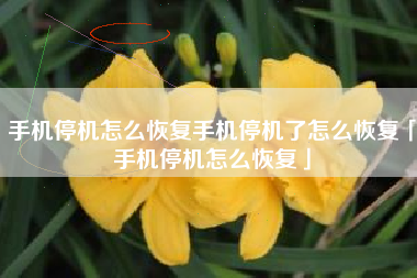 手机停机怎么恢复手机停机了怎么恢复「手机停机怎么恢复」