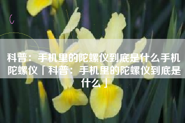 科普：手机里的陀螺仪到底是什么手机陀螺仪「科普：手机里的陀螺仪到底是什么」